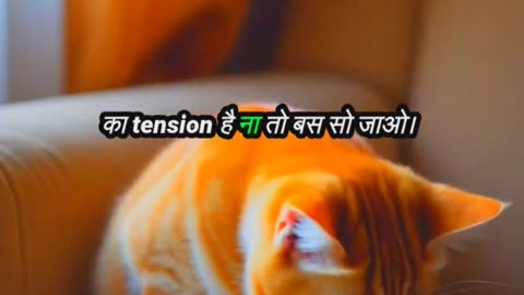 Billi Ki Motivational Speech | Bolta Janwar AI | Funny Cat Video #shorts