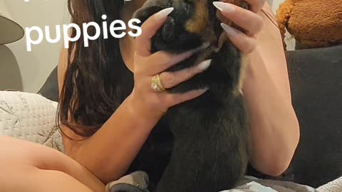 first time bottle feeding puppies