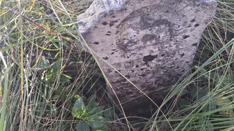 Photos from Born Cemetery