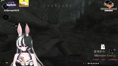 🌱vs🧟‍♀️ New version⭐新手向⭐🥺倉鼠系玩家🥺| 來聊天R ✨💎(๑˃̵ᴗ˂̵)و Culolo Channel(๑˃̵ᴗ˂̵)و 5 Taiwan優質台💎✨