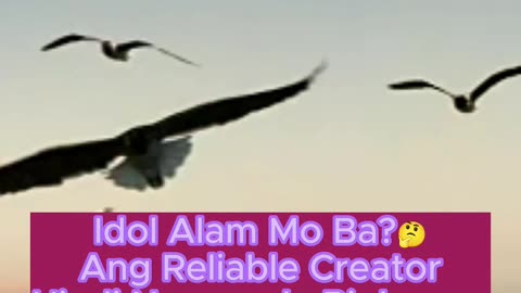 Reliable Creator
