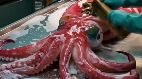 Rescuing a giant squid from the deep!