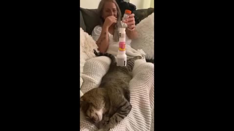 Funny Animals Part2