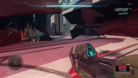 Halo Live Stream