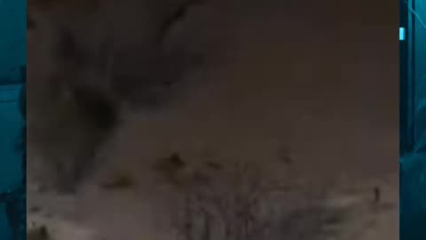 😱👻 You Won't Believe What They Caught on Camera! What Is That Thing? | TheHauntingHour