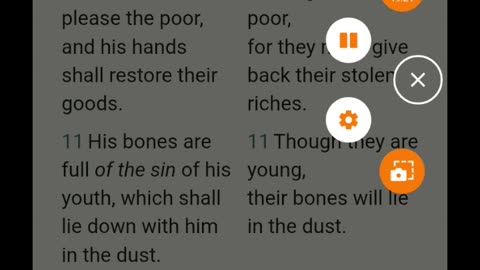 Big nose small affairs