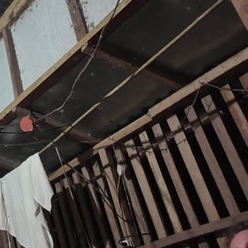 Presidents & Leaders Should Step Out Of Our Way