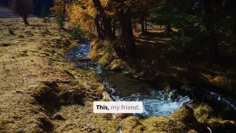 Reflecting on the Peace of God