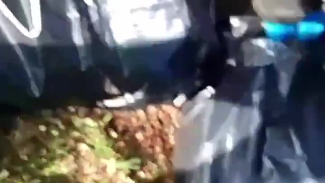Don't Forget to Check Their Pockets