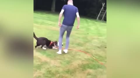Top Funniest Football Compilation 2025 😂 #2