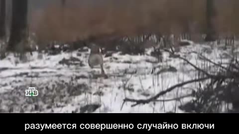 🛸👧 The Flying Girl: 10-Year-Old UFO Footage! | TheTruthAbove