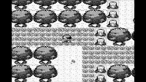 Lets play Pokémon part 4: the forest in the building