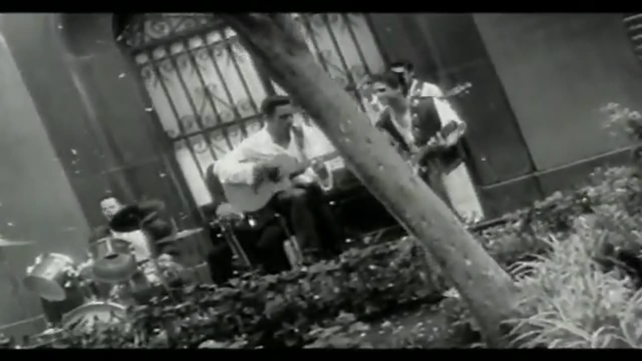 Ragazzi - Baila