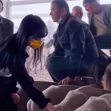 Can't stop laughing 🤣🤣🤣