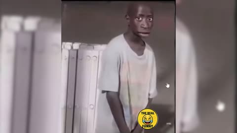 Try Not to Laugh – Cutest & Funniest Moments!