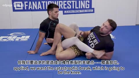 Systematic Submission Dilemmas: High Level Triangle and Leg Lock Combos by Craig Jones 1