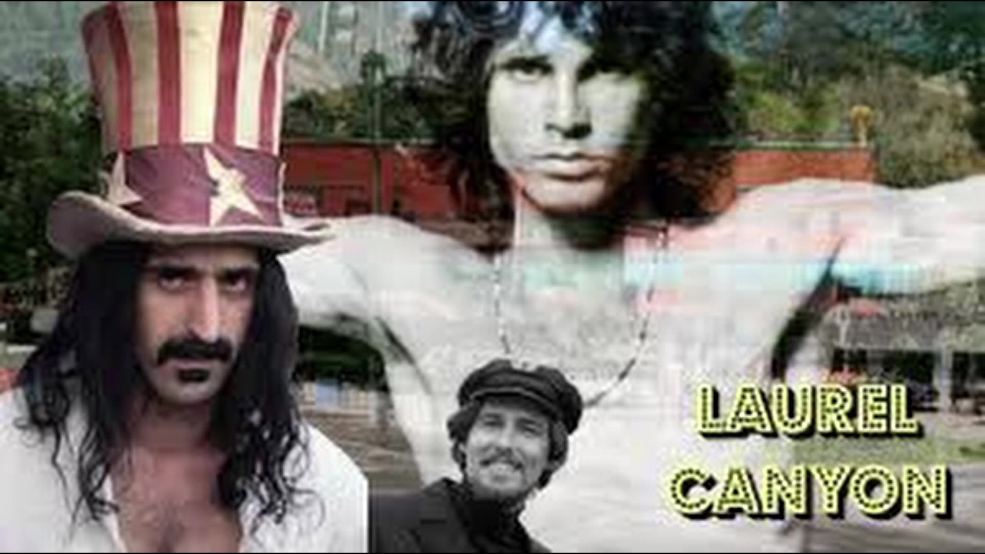 The Motivation For The Counter-Culture Op. That No-one Seems To Talk About