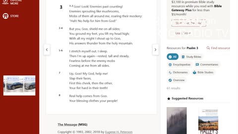 psalm 3 