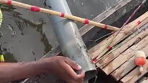 Incredible: Amazing river fishing #shorts