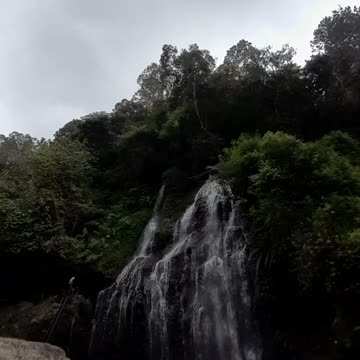Foggy Mornings in the Mountains