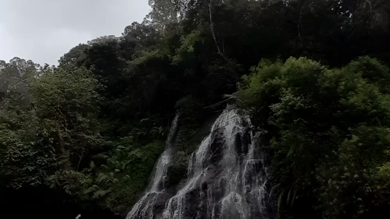 Foggy Mornings in the Mountains