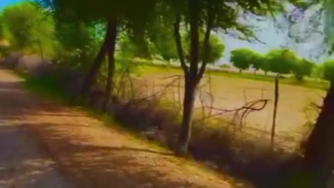 Landscapes come from Balochistan -Iran