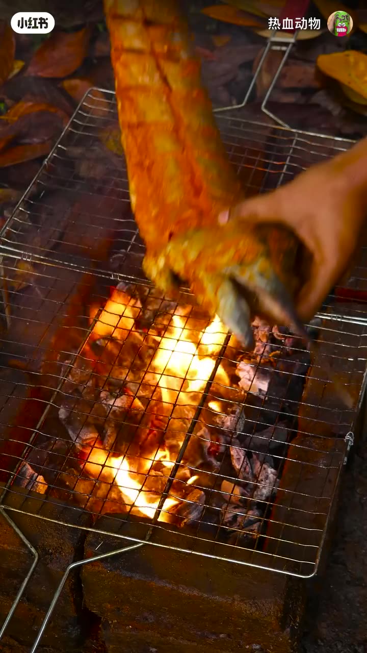 Catching Fish in the wild, A rural fun fishing