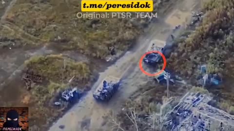 Best from the SVO archives