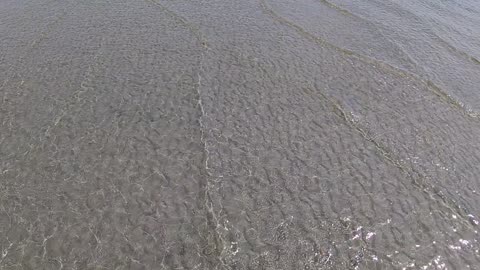 Water Walk #1 – Intracoastal Peace