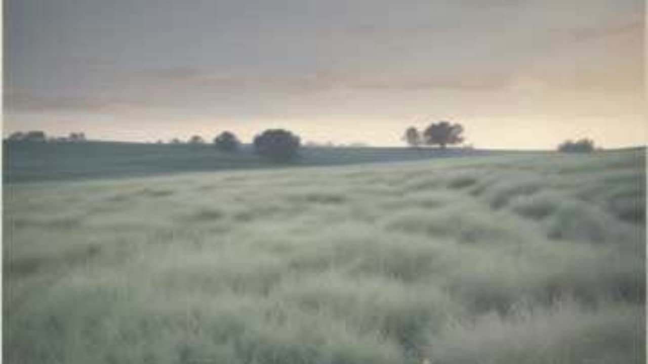 Rise of the Revolution