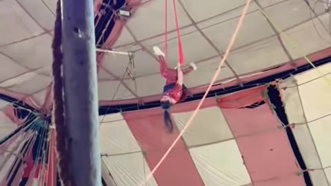 New video 2025 Circus 🎪