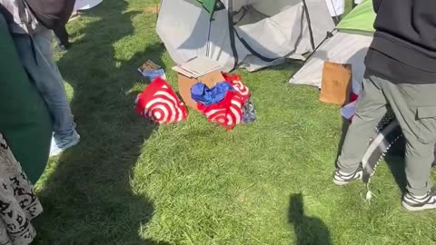 🚨BREAKING: Terrorist sympathizers have set up an encampment on the Brooklyn College