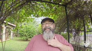 What Everyone Needs to Know about Internet Media But is Afraid to Ask (for Expats) 🇳🇮