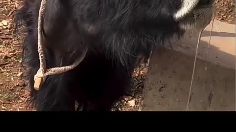 FUN