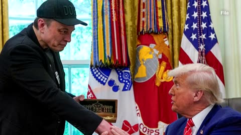 Trump on Musk's govt contracts: 'We'll take a look at everything'