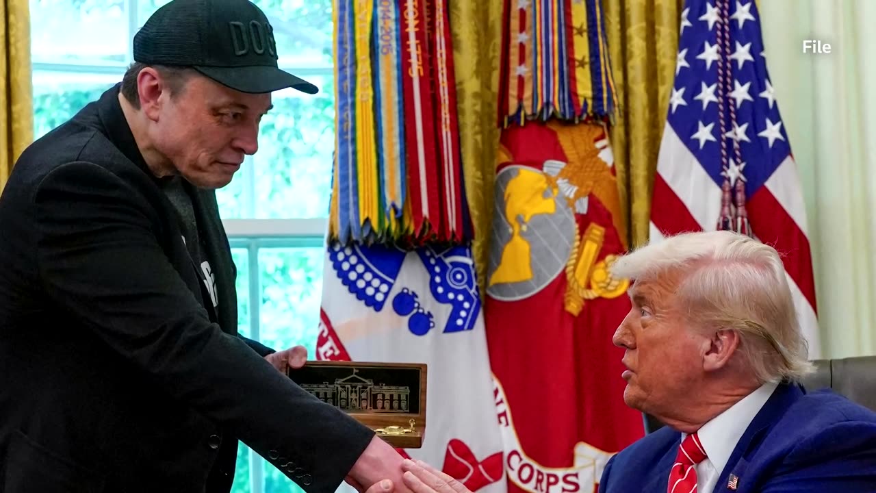Trump on Musk's govt contracts: 'We'll take a look at everything'