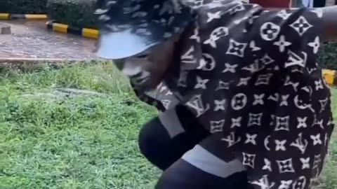 Funny video