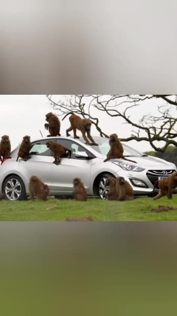 Geographics of the postmodern world