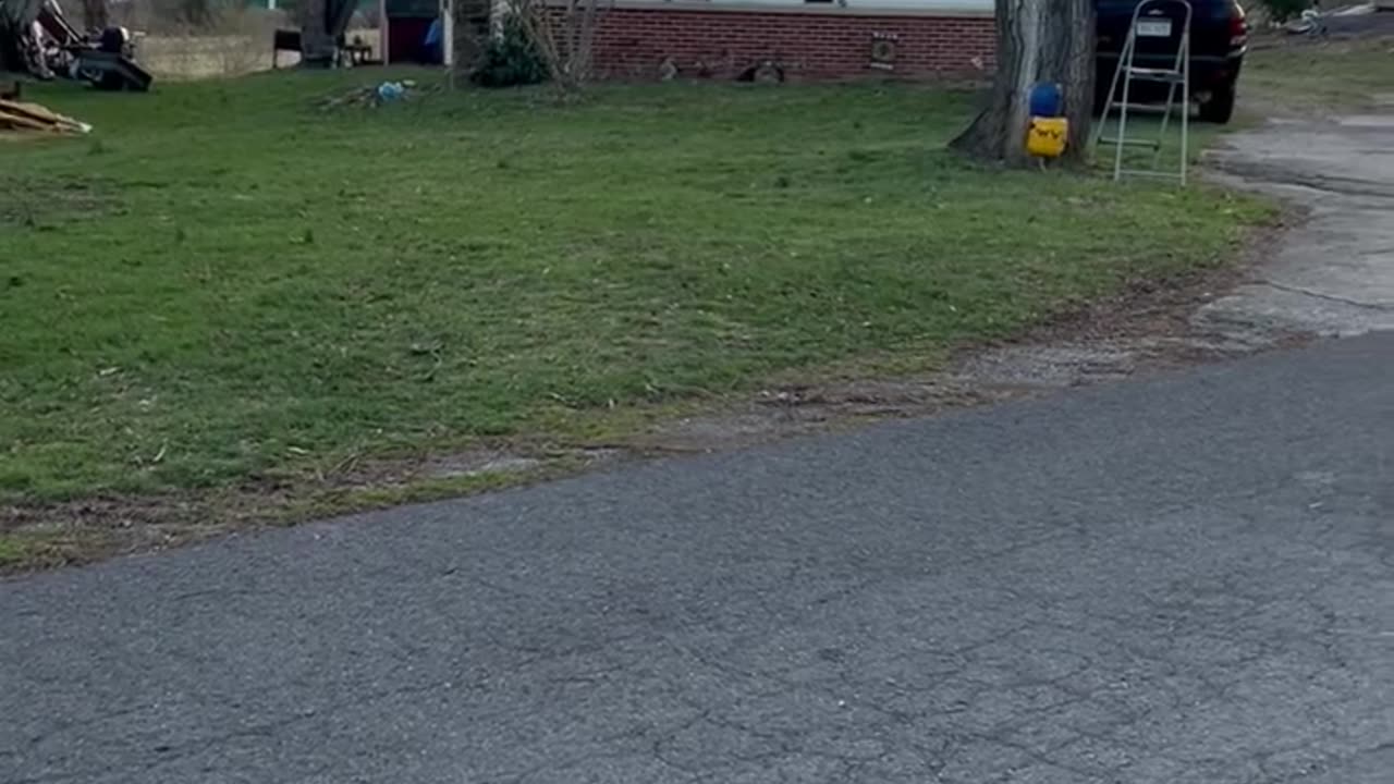 Catch # 10 Michael Fields