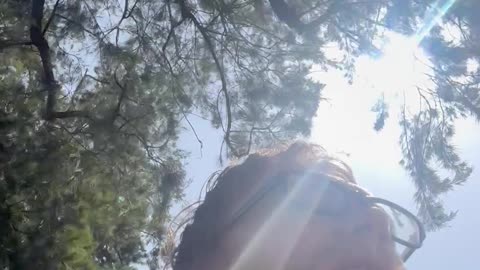 Hdr. 4/24/25 Lp 1 (19) Vid #1
