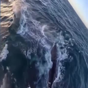 Epic Non-Fails Compilation 🔥 Top Videos You Have to See to Believe 💯