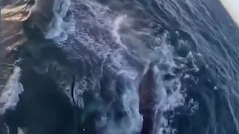 Epic Non-Fails Compilation 🔥 Top Videos You Have to See to Believe 💯