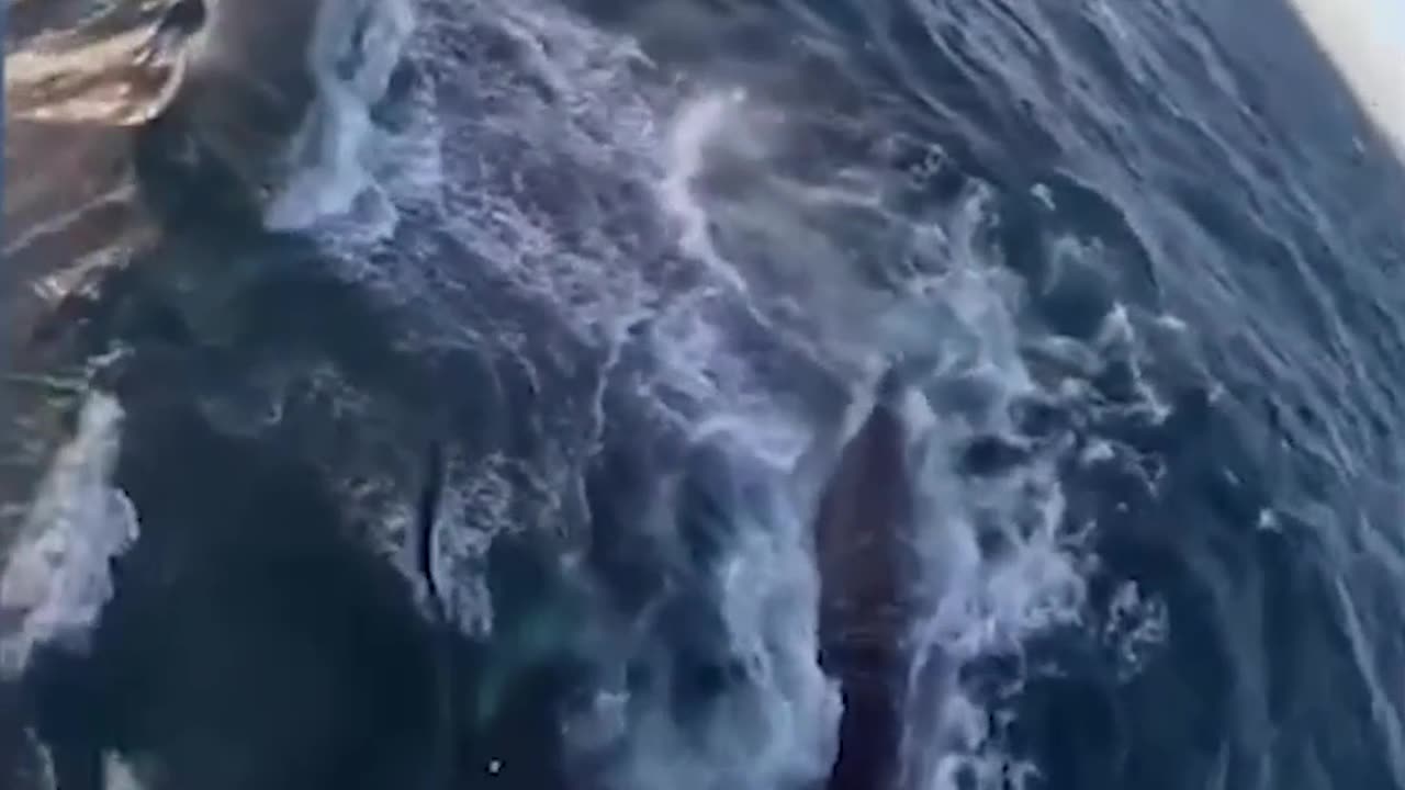 Epic Non-Fails Compilation 🔥 Top Videos You Have to See to Believe 💯