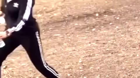 INCREDIBLE Animal Clips You CAN'T MISS!