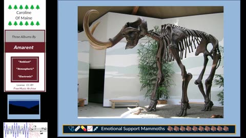 Music, Mammoths and Gaming