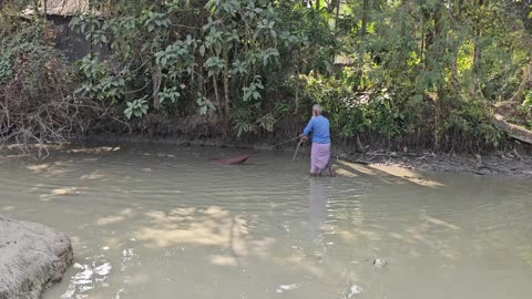 The village pond is full of fish