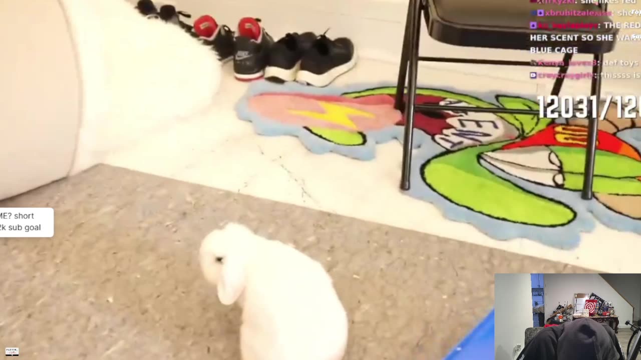 REATIONS + GAMING !!