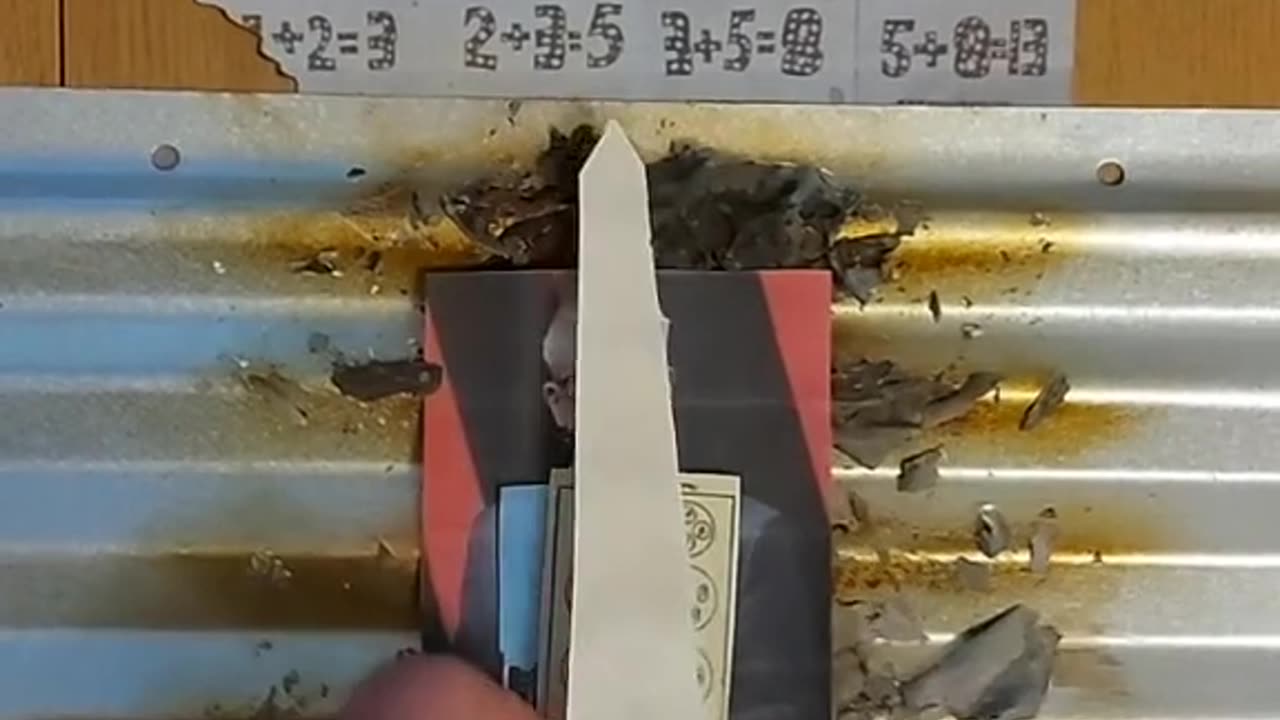 Tim Rifat TikTok Videos