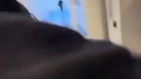 Dutch Secret Police Fed up with Pro-Palestine Students