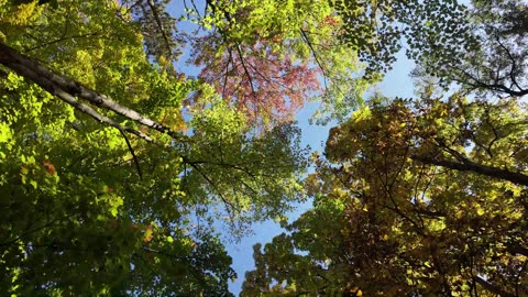 Exploring the Finger Lakes National Forest